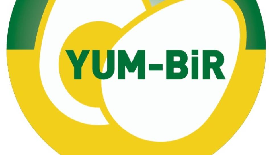 Yumurta Var Ama Denge Kırılgan