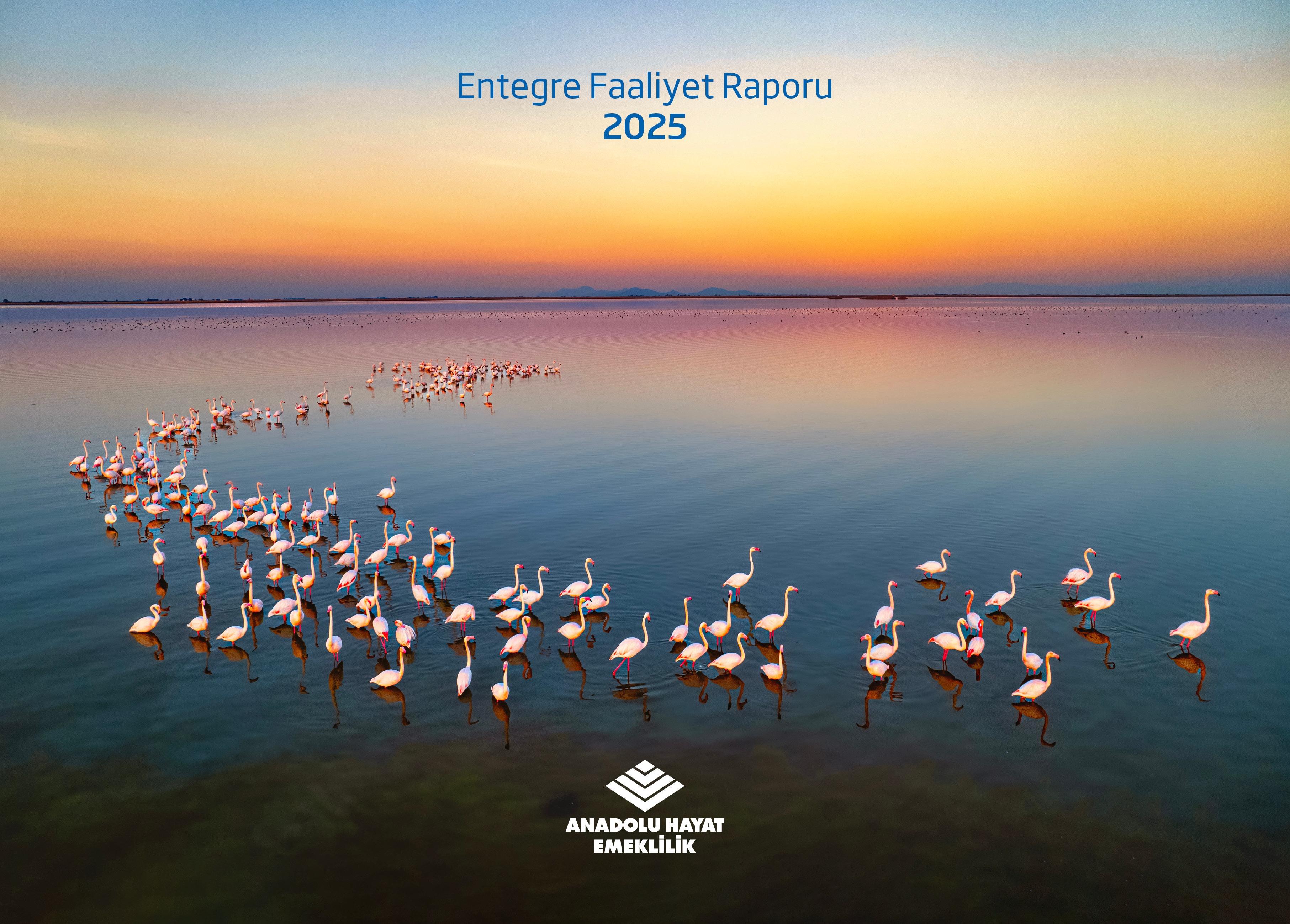 Anadolu Hayat Emeklilik 2025 Yılı Entegre Faaliyet Raporunu Yayımladı