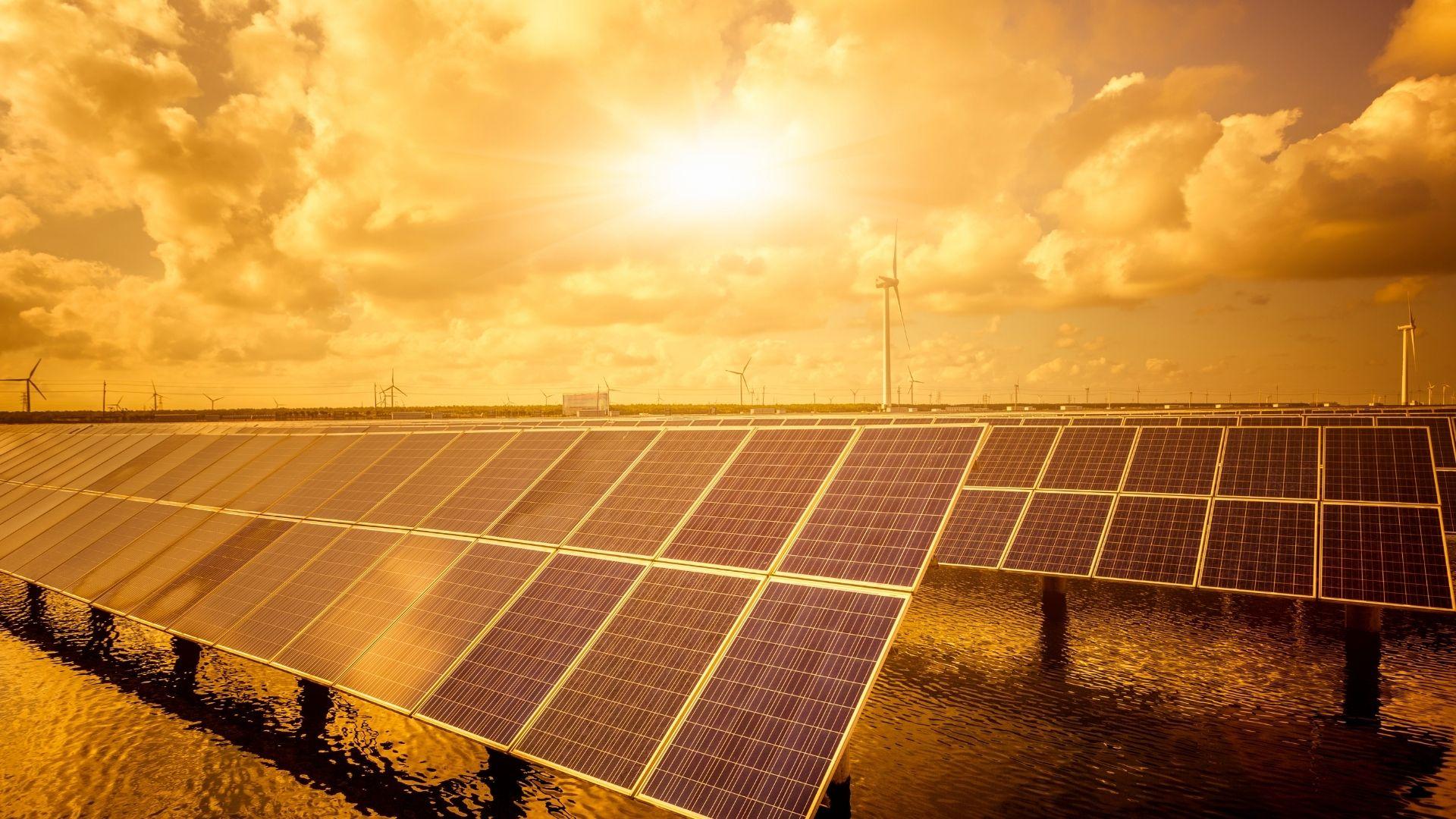Anadolu Sigorta, Net Sıfır Hedefi İçin Güneş Enerjisine Yatırım Yaptı