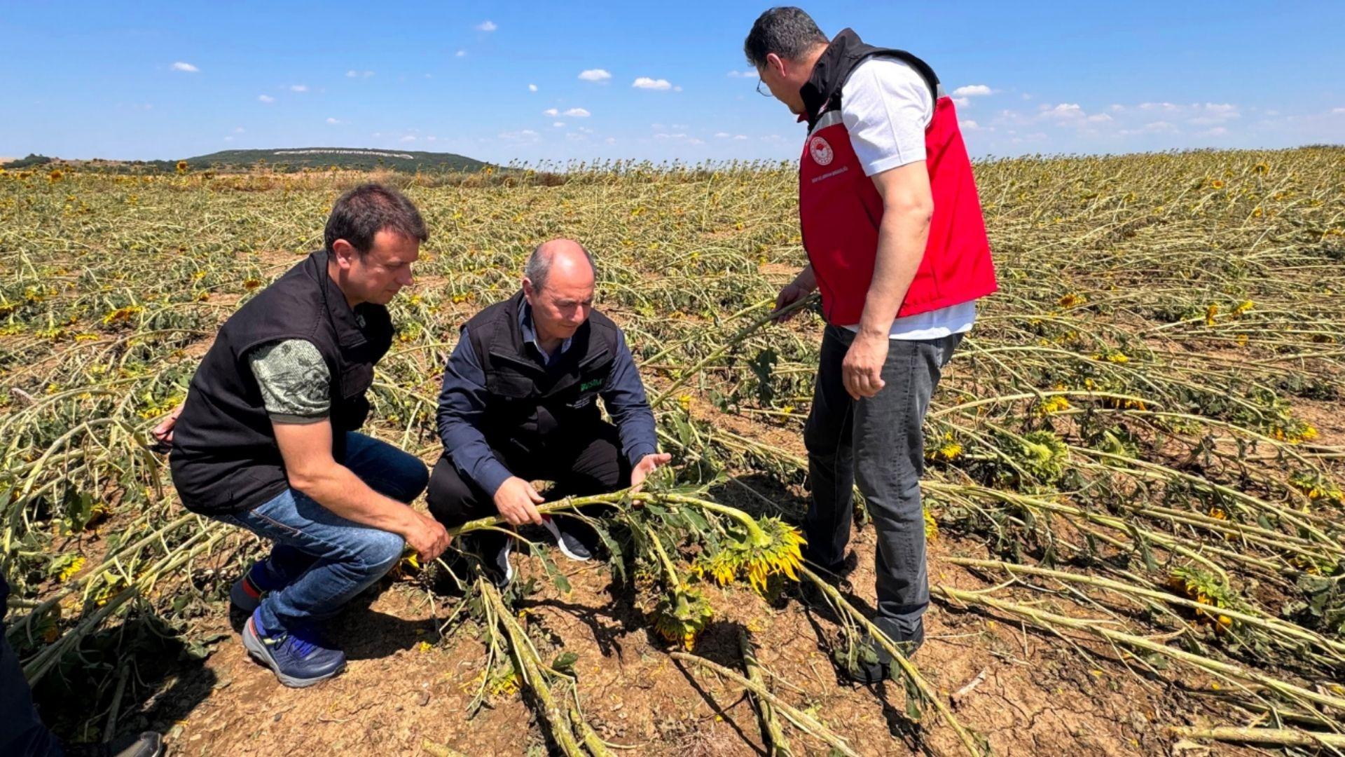 TARSİM Heyeti Tekirdağ’da Dolu ve Fırtına Hasarlarının Etkilerini İnceledi