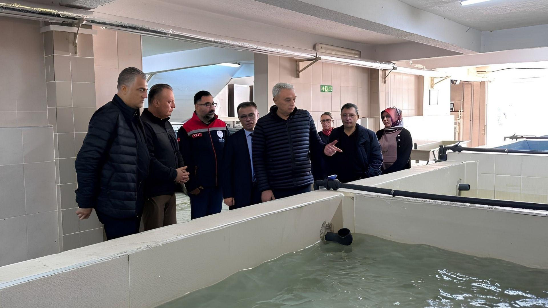 Türkiye Su Ürünlerinde Üretim ve İhracatta Gücünü Artırıyor