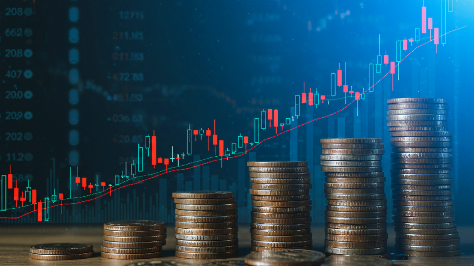 İllerin Ekonomik Gidişatı Seçmen Davranışını Nasıl Etkiliyor?